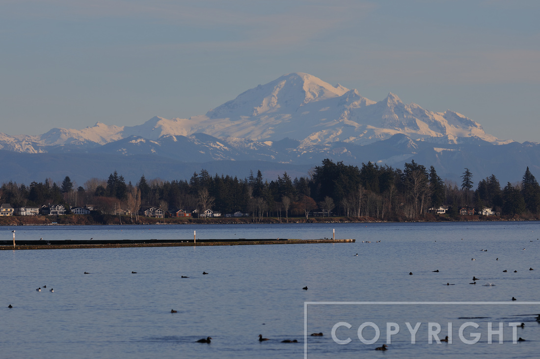 Mount Baker from Semiahmoo